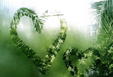 詹姆斯被批为作秀的节目《选择》背后有哪些耐人寻味的故事？.