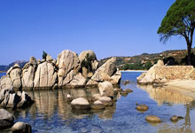 外线手感出色！广东三分球14投8中，命中率高达57.1%.